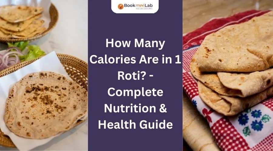 How Many Calories Are in 1 Roti? – Complete Nutrition & Health Guide