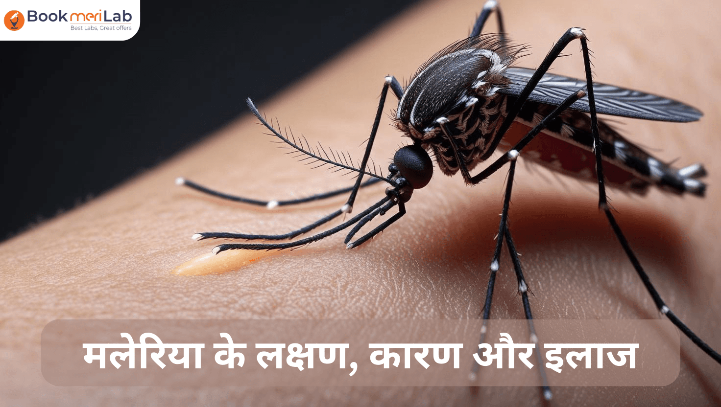 मलेरिया के लक्षण, कारण और इलाज