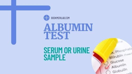 Albumin Test: Price, Purpose & Normal Values [2026]
