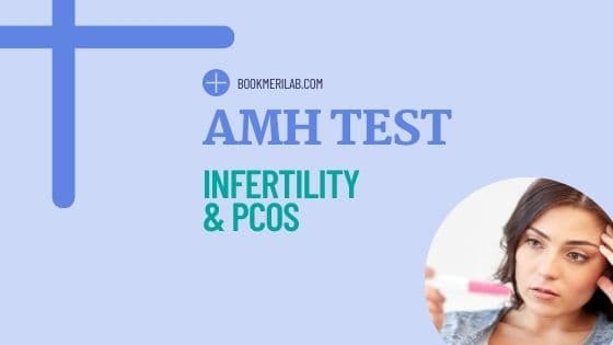 AMH Test: Price, Results & Use in Pregnancy & Infertility [2026]