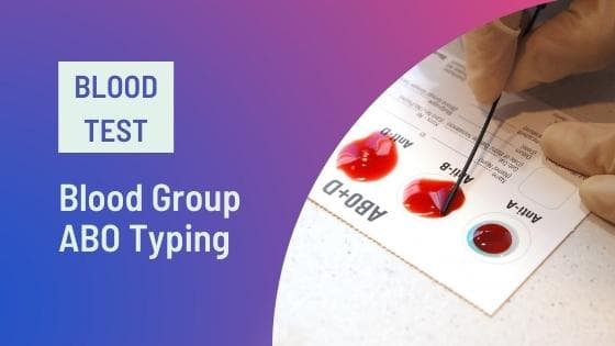 Blood Group Test: Type, Home Kit, Sample Report & Price [2026]
