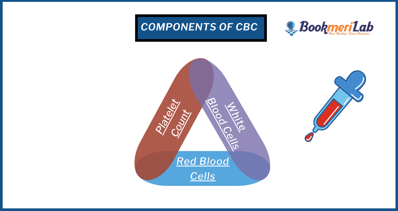 CBC Test Purpose, Prepare, Report & Price [2026]