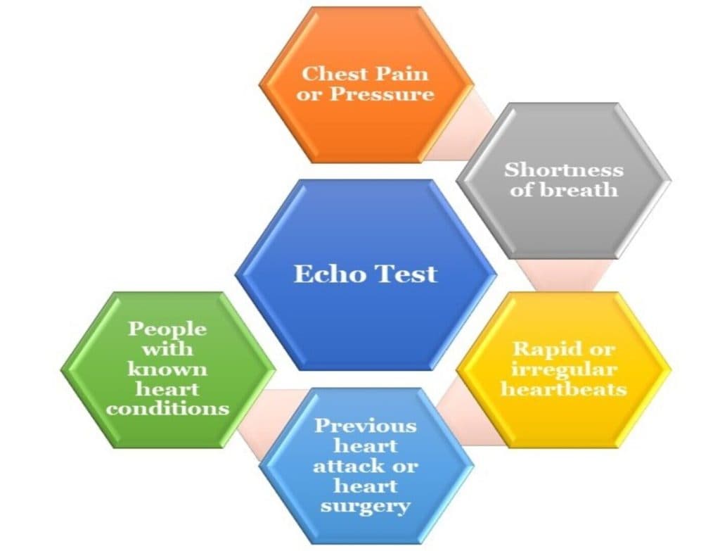 Echo Test – Price, Purpose, Procedure, Results, & More