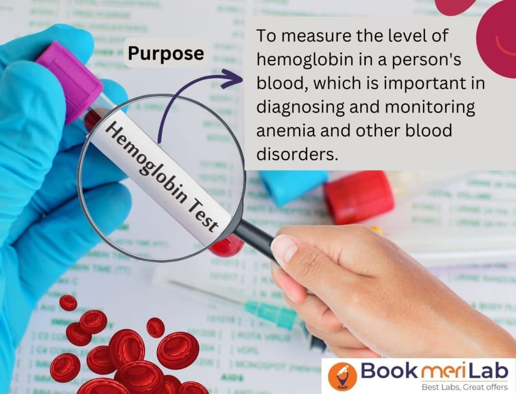 Hemoglobin (Hb) Test: Price, Purpose, Risks & Result [2026]