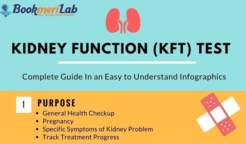 KFT Test Price, Normal Range, Purpose & Results | ₹399 [2026]