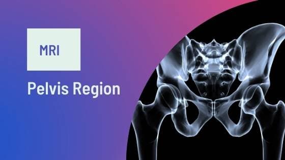Pelvis MRI Cost, Purpose (Male & Female) & Results [2026]