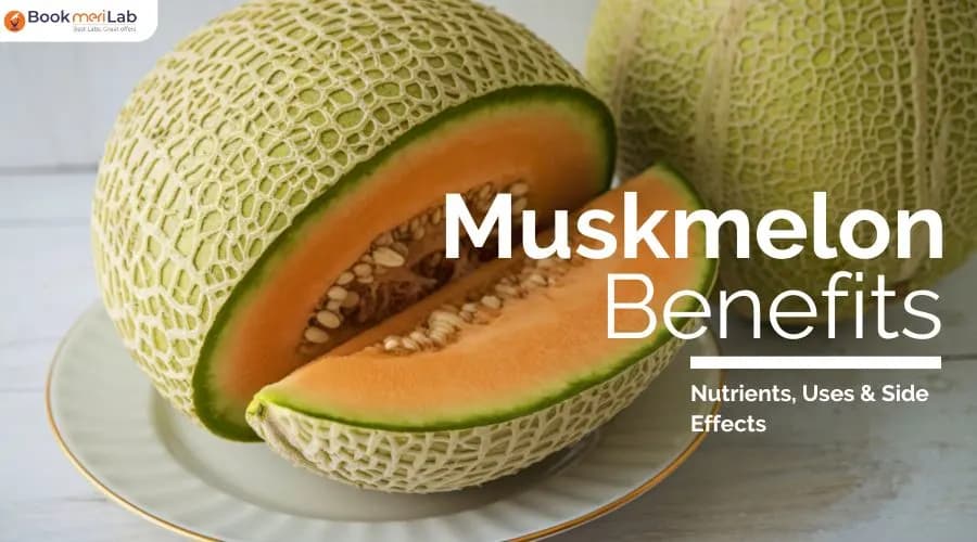 Muskmelon Benefits: Nutrients, Uses & Side Effects