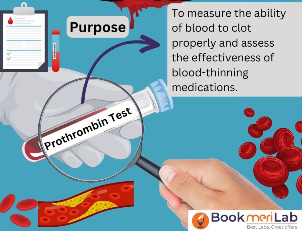 PT Test (Prothrombin Time): Price, Purpose & Result [2026]