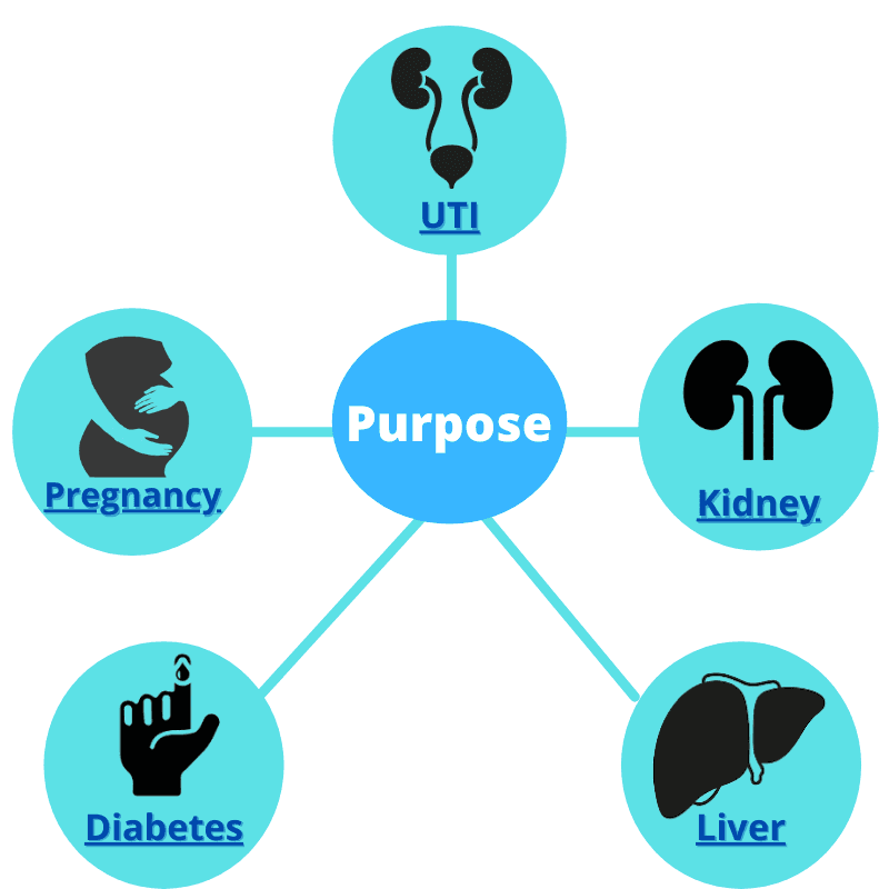 Urine Routine Test: Purpose, Values, Type & Cost [2026]