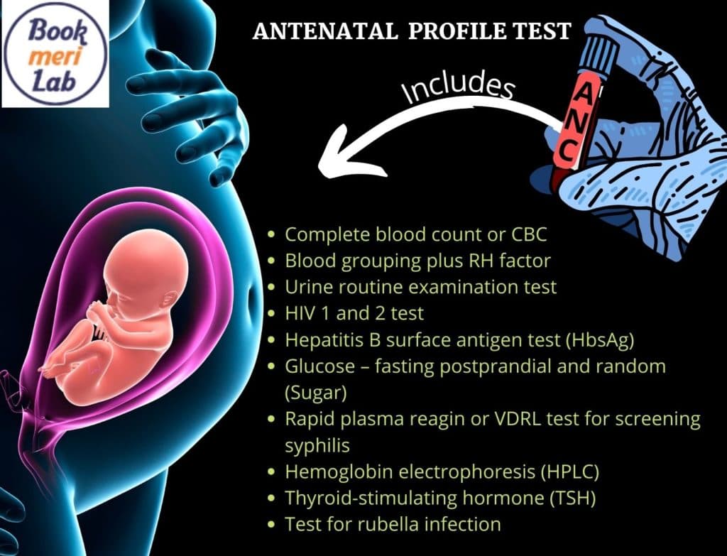ANC Profile Test: Price, Purpose, List, Procedure, and Benefits