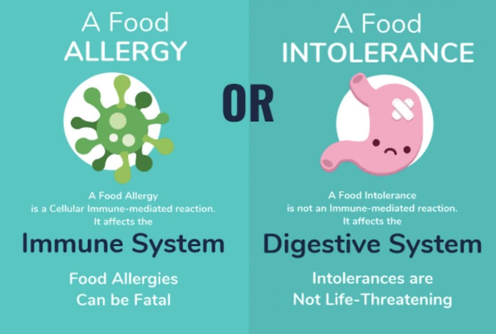 Food Intolerance vs Food Allergy: How to Choose?