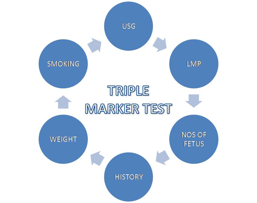 Information Required During Triple Marker Test-min