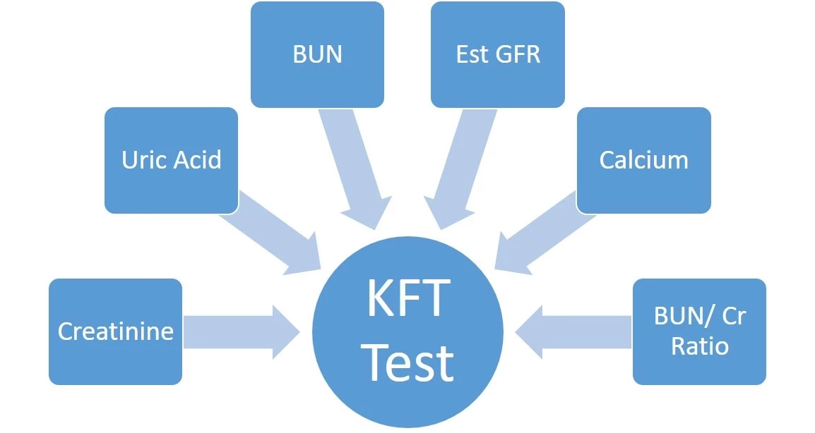 Tests Included in Kidney Function Test - KFT Test
