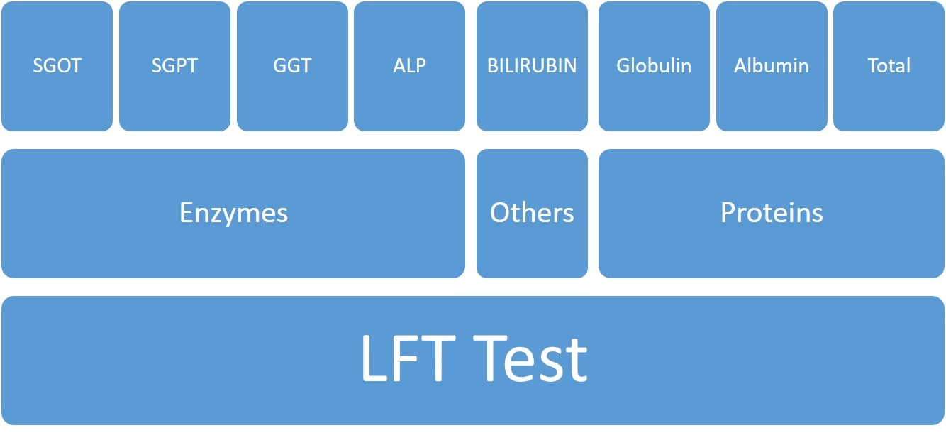 Tests Included in Liver Function Test - LFT Test