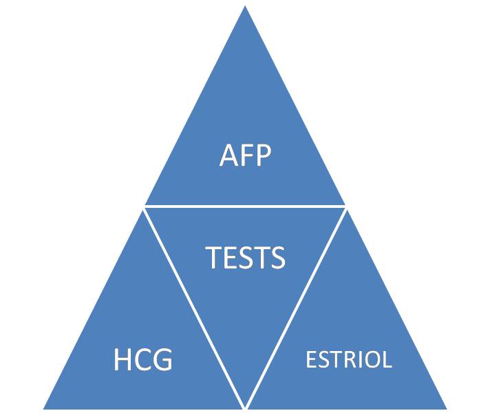 Tests Included in Triple Marker Test