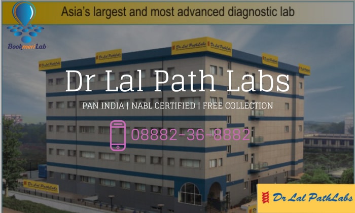 dr lal path labs vijayawada