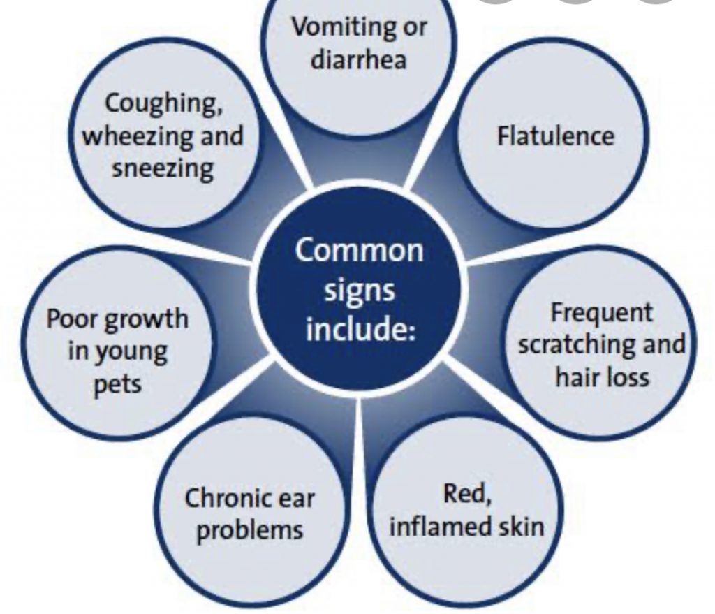food intolerance symptoms