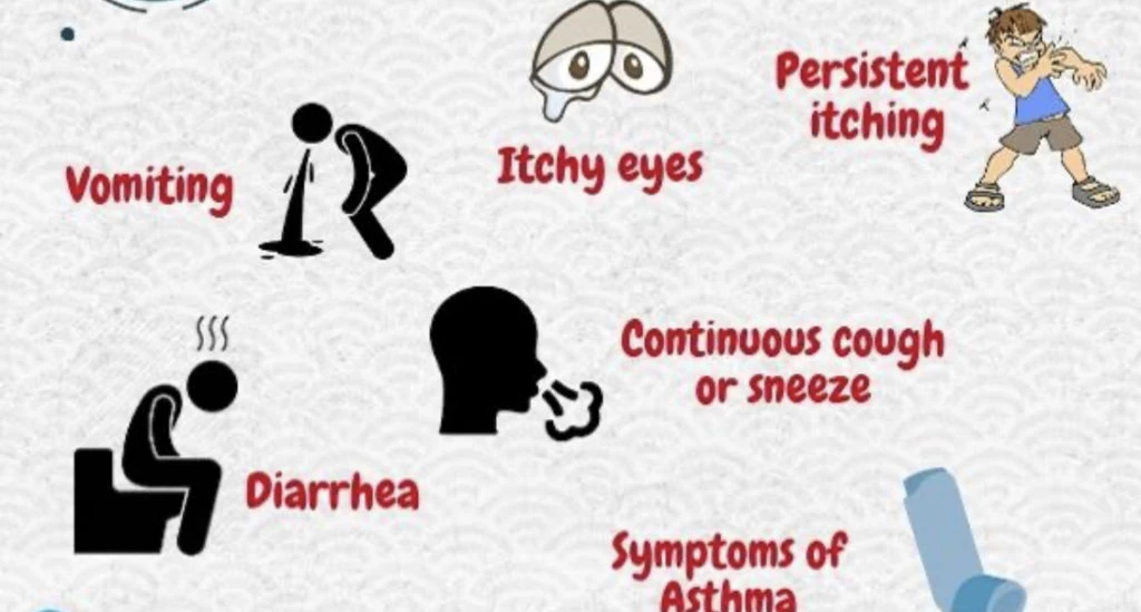 symptoms of allergy