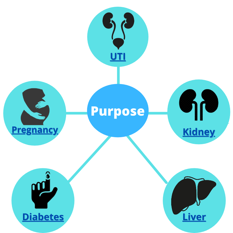 purpose of urine routine test