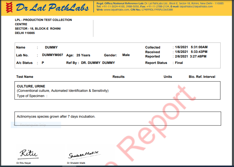 A sample report of the Drlalpathlabs.