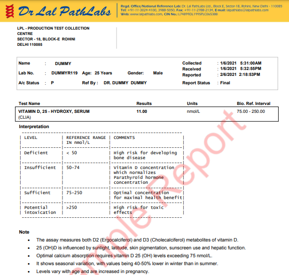 vitamin d test sample report
