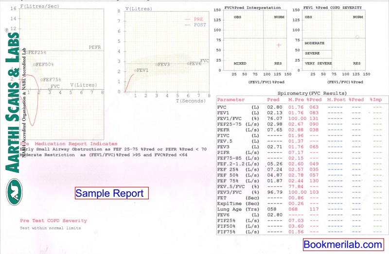 PFT test sample report