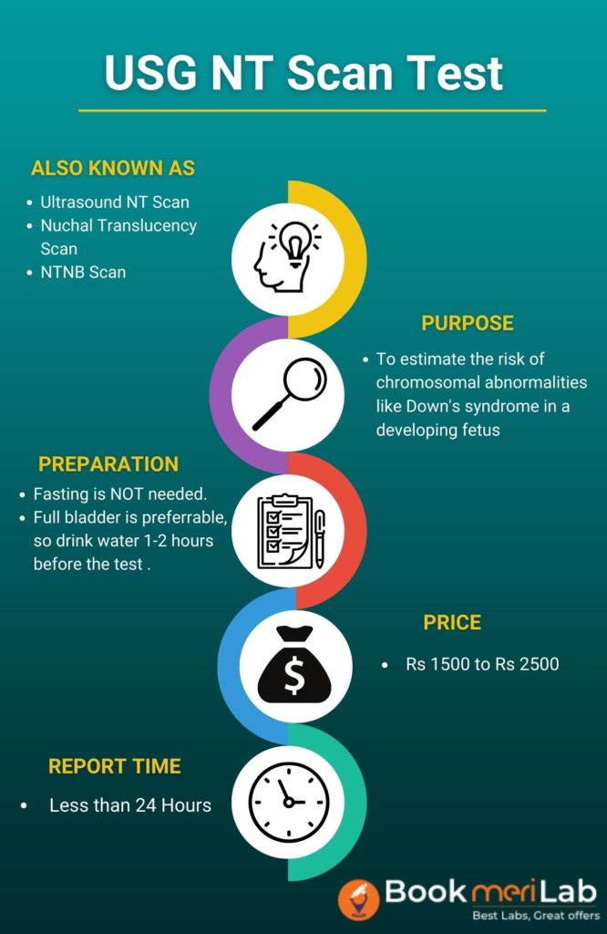 USG NT Scan Test Summary