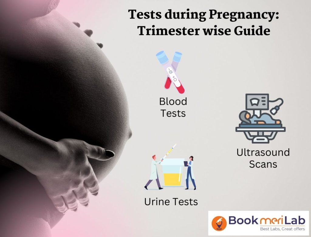 Pregnancy Tests