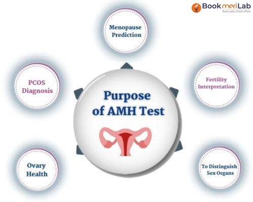 AMH test purpose