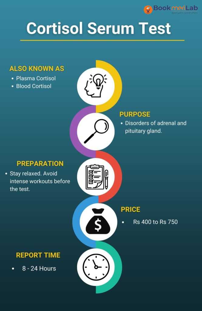 cortisol test detail infographics