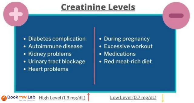 creatinine levels low and high