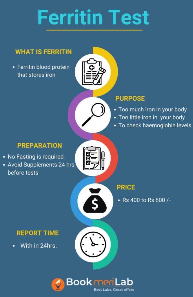 Ferritin Test infographics