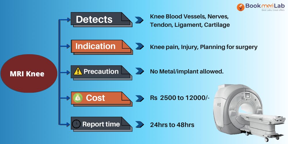 mri scan purpose, cost and report timing