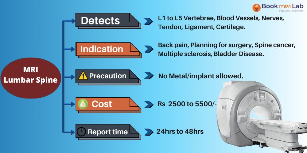mri ls spine details in brief