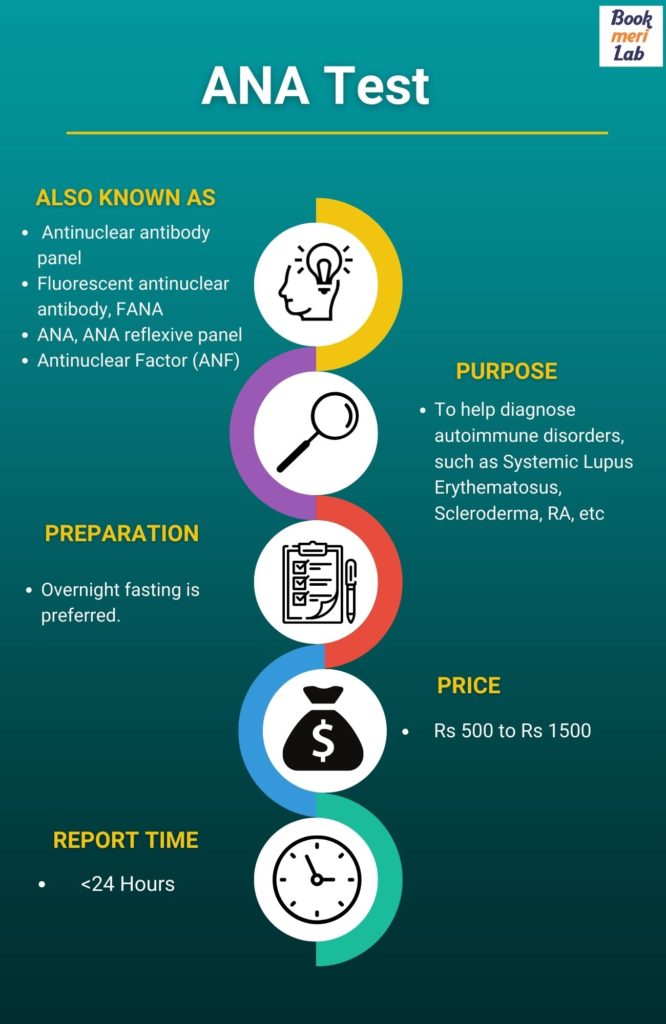 Infographics with summary