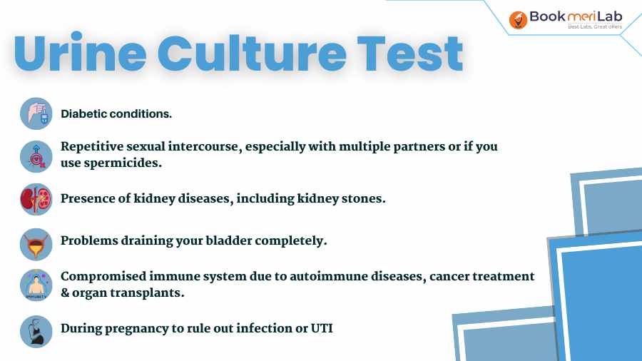 purpose of urine culture test