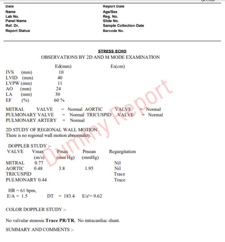 sample stress echo report