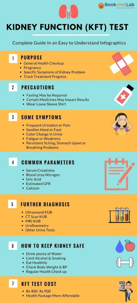 Kidney Function Test- Complete Guide on KFT Test