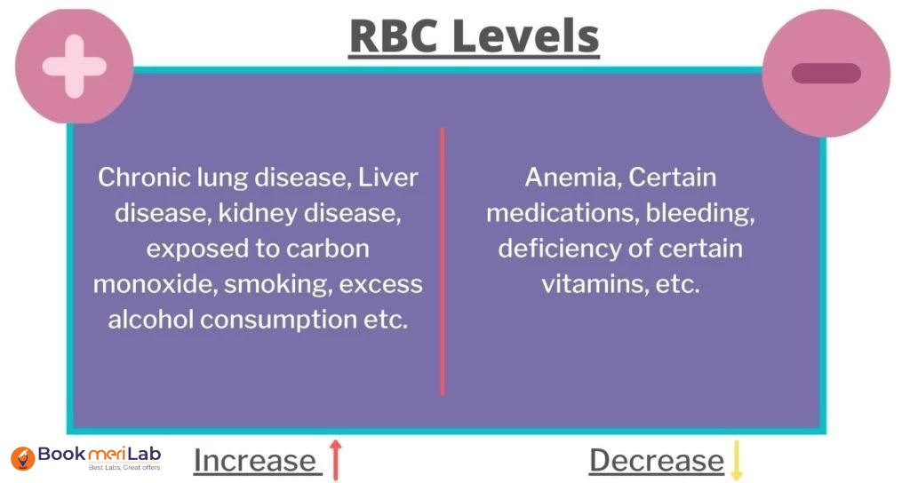 rbc level