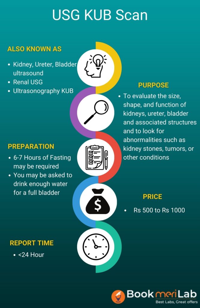 usg kub scan infographic