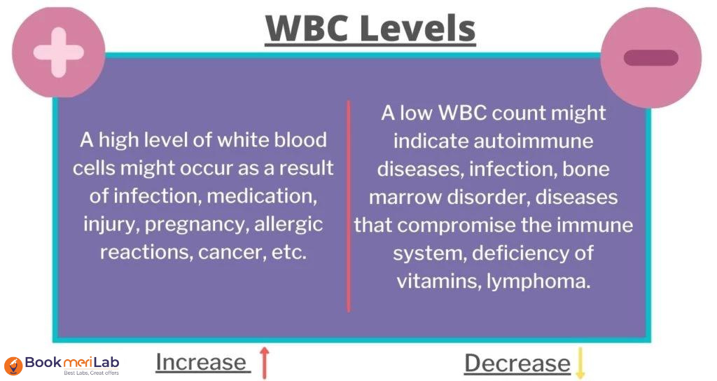 wbc level and result