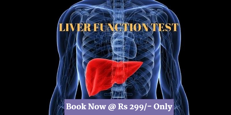 LFT Test for Liver Health