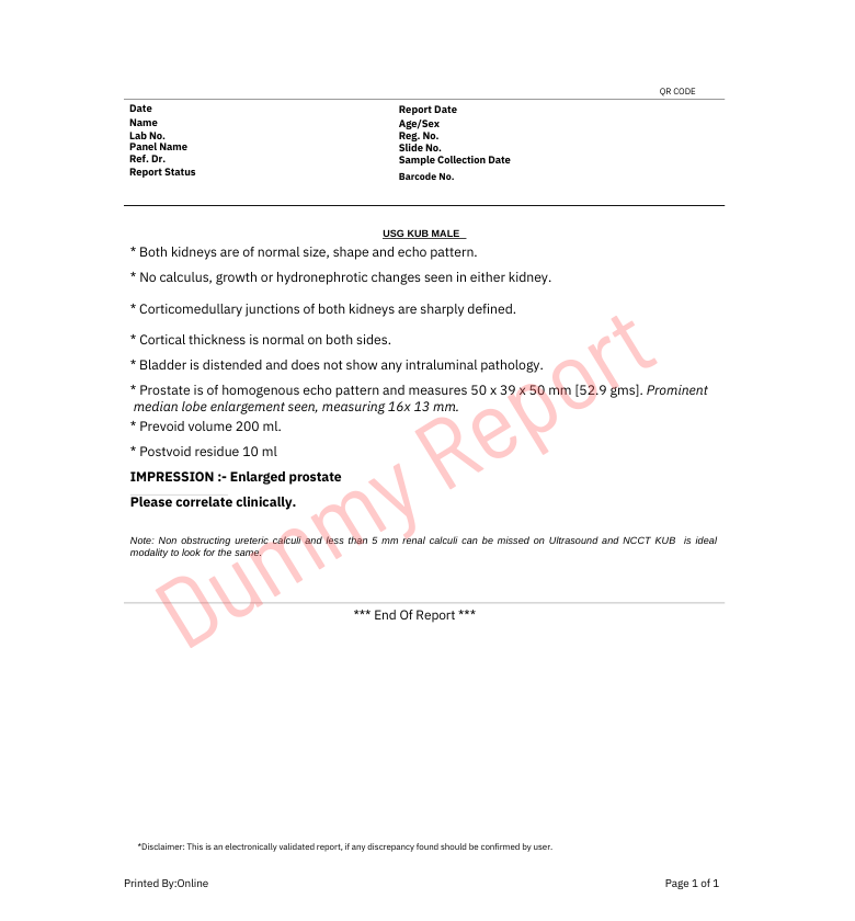 usg kub scan sample report
