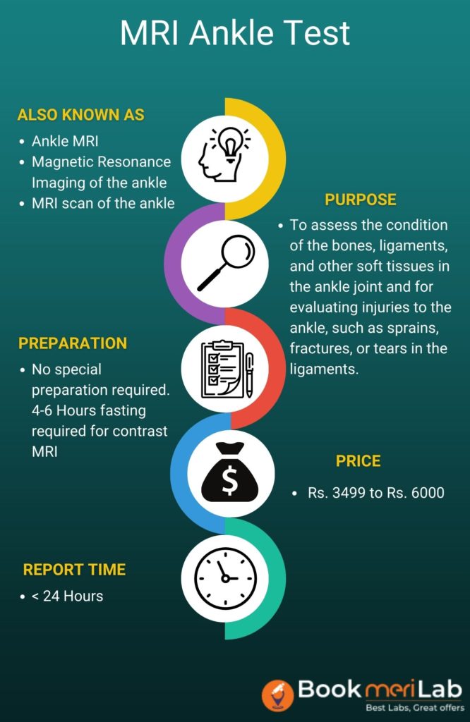 mri ankle infographic