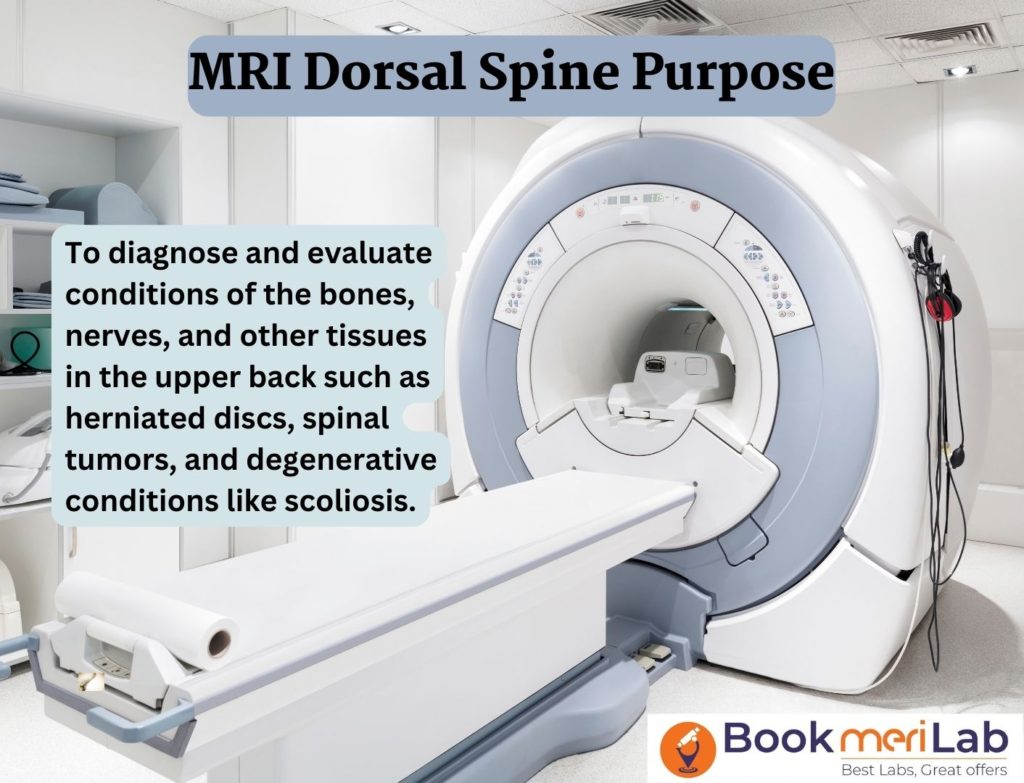 MRI Dorsal Spine Purpose