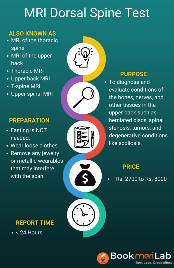 MRI Dorsal Spine Summary