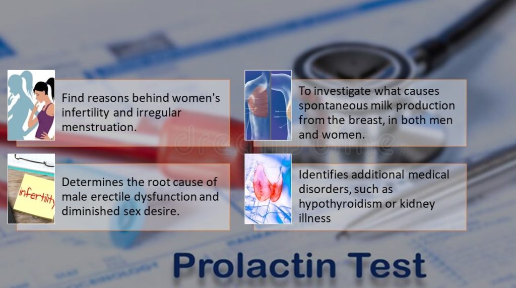 Prolactin test purpose
