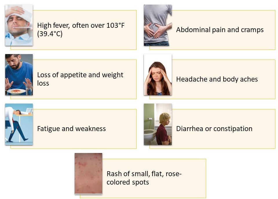Symptoms of Typhoid fever
