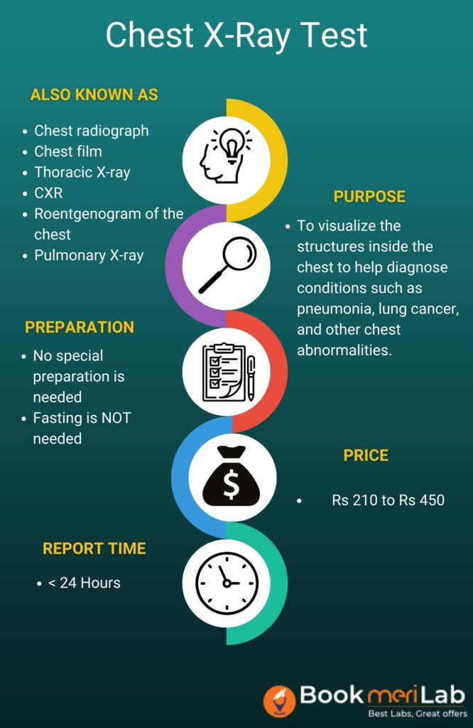 Chest X-Ray Summary