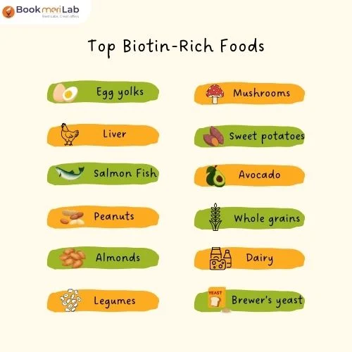 Top Biotin-Rich Foods